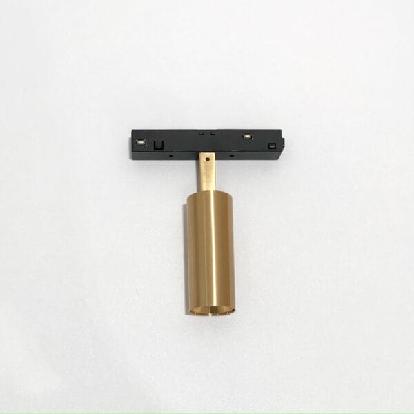 Spot geborsteld goud magneet 48V HUE - Afbeelding 2